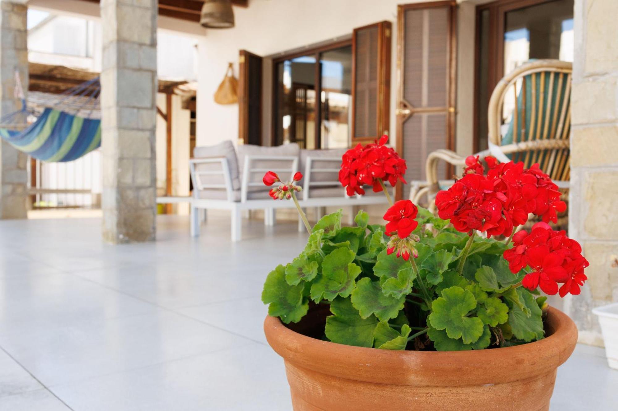 Villa Can Ordinas Alcúdia Exterior foto